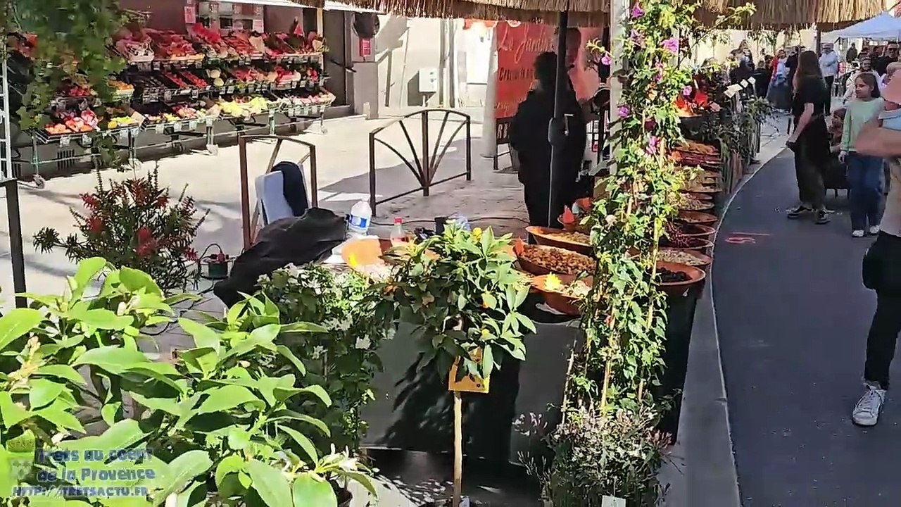 Foire de PRINTEMPS de TRETS 29MARS2026
