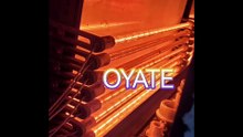 850mm 220v 1500w Infra-red Quartz Lamps Halogen Heater for PET blow moulding machine
