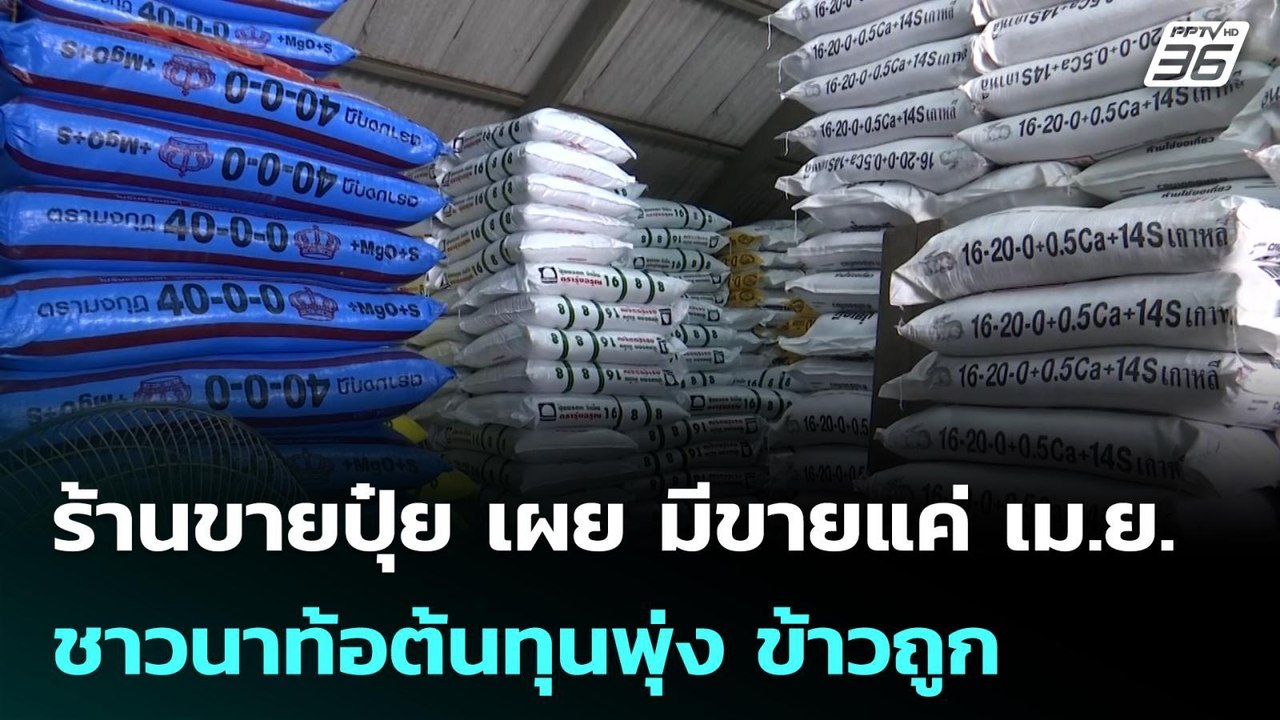 ร้านขายปุ๋ย เผย มีขายแค่ เม.ย. - ชาวนาท้อต้นทุน...