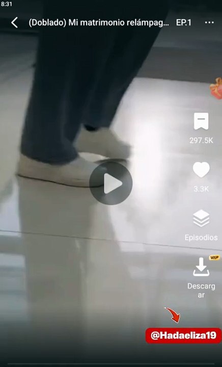 Mi matrimonio relámpago con la CEO