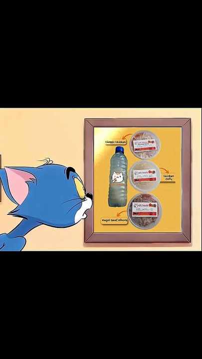 Homemade Chicken Cat Food in Karachi | Healthy Billi Treats and Wet Meals