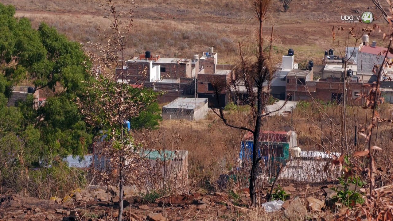 Piden frenar obras en las faldas del cerro de la Reina