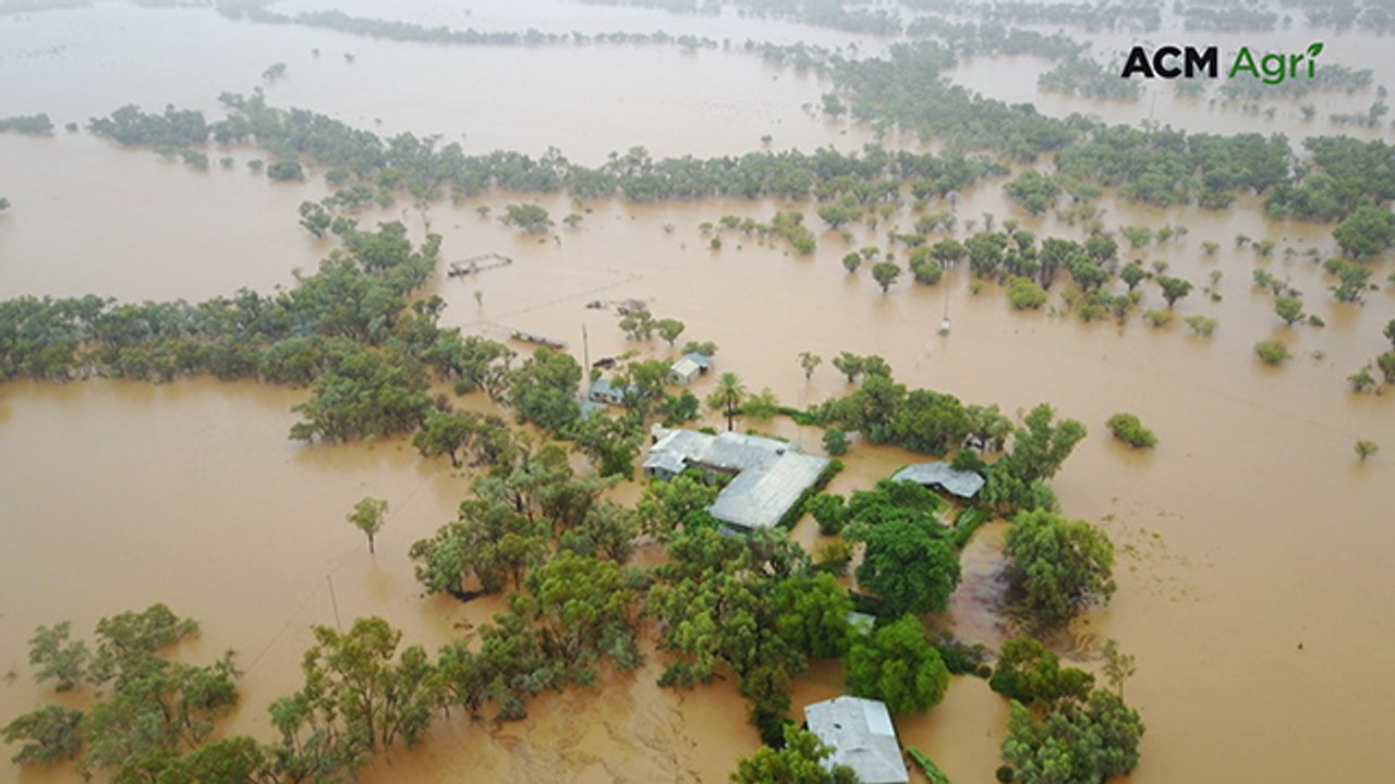 The Quilpie 'octopus': Mayor Ben Hall on the multi-armed flood recovery