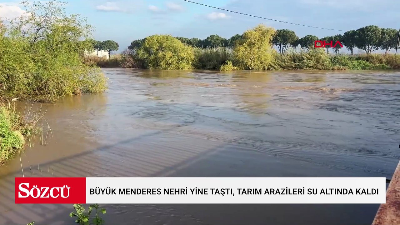 Büyük Menderes Nehri yine taştı, tarım arazileri su altında kaldı