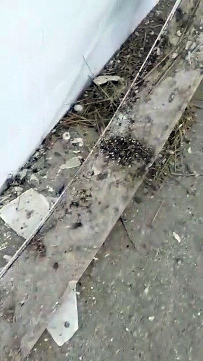 Alunos denunciam risco de desabamento em escola de Simões Filho