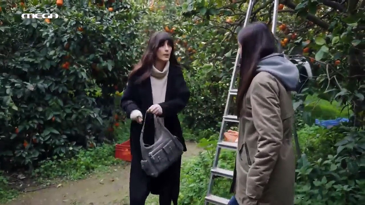 Η Γη της Ελιάς- Επεισόδιο 94 - 5ος Κύκλος