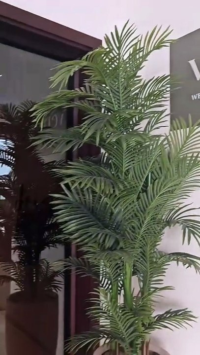 WhatsApp Video 2026-03-30 at 3.16.55 PM