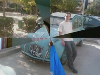 Les potos