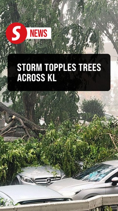 KL areas hit by fallen trees due to storms