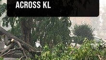 KL areas hit by fallen trees due to storms