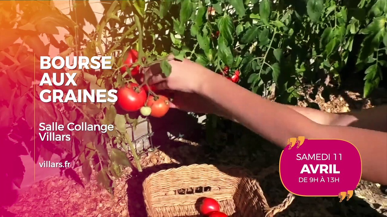 Agenda des Sorties du 1er au 3 avril 2026