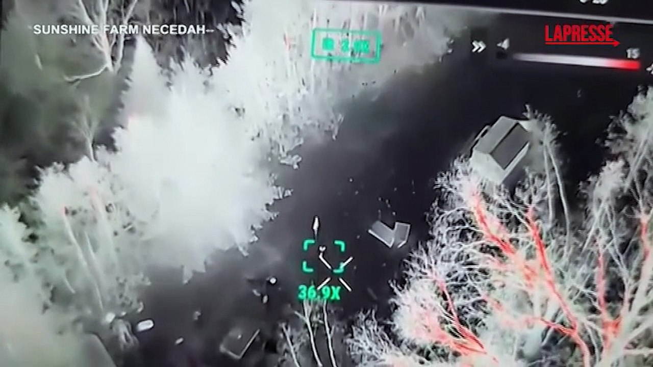 La fuga del canguro Chesney da uno zoo del Wisconsin