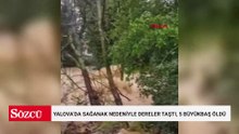 Yalova’da sağanak nedeniyle dereler taştı, 5 büyükbaş öldü