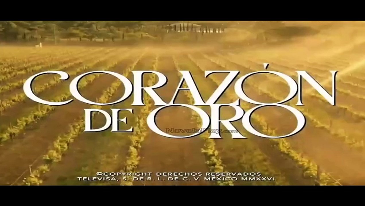 Corazón de Oro Capítulo 19 Completo En Español
