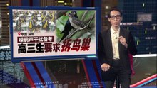 学生要求拆除噪鹃“鸟巢”   校长婉拒称“世界不会为某人某事而暂停”