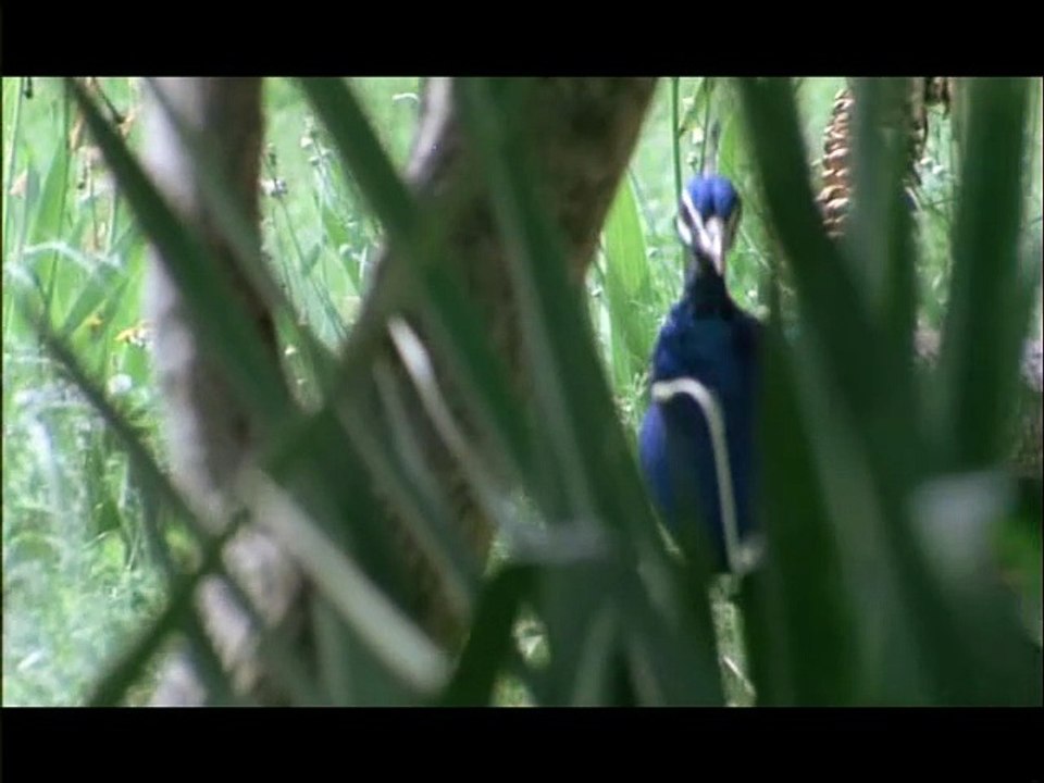 Anne, Jour après Jour - 1976 - Episode 48