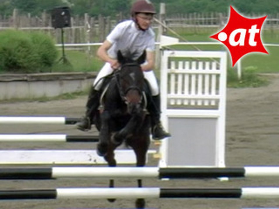 Angelika Schultheis, Springreiten, Kottingbrunn (2008-034)