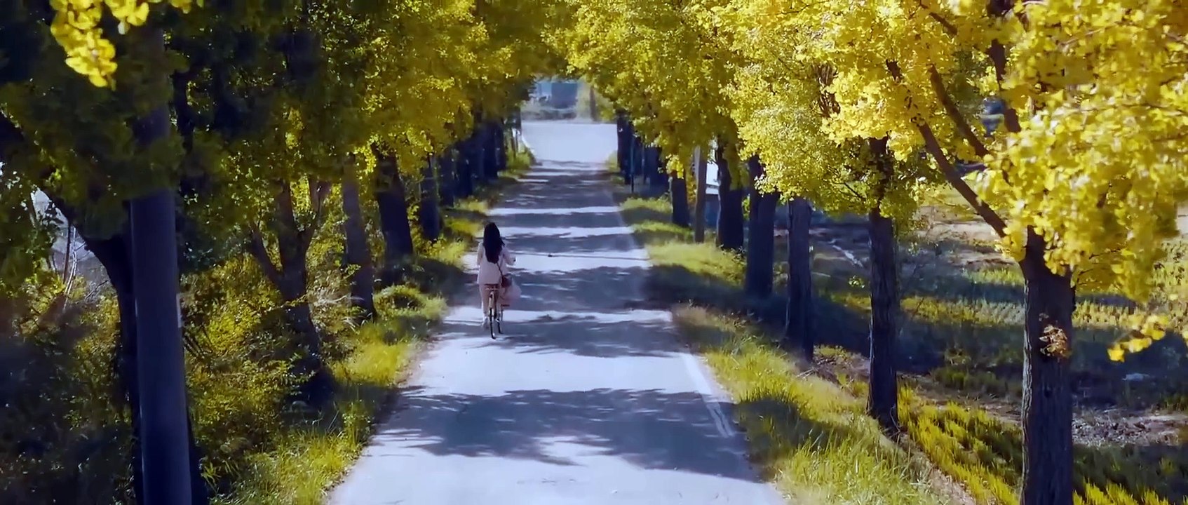 Mang Mẹ Đi Bỏ - Hồng Đào Tuấn Trần - phim chiếu rạp Việt Nam 2025