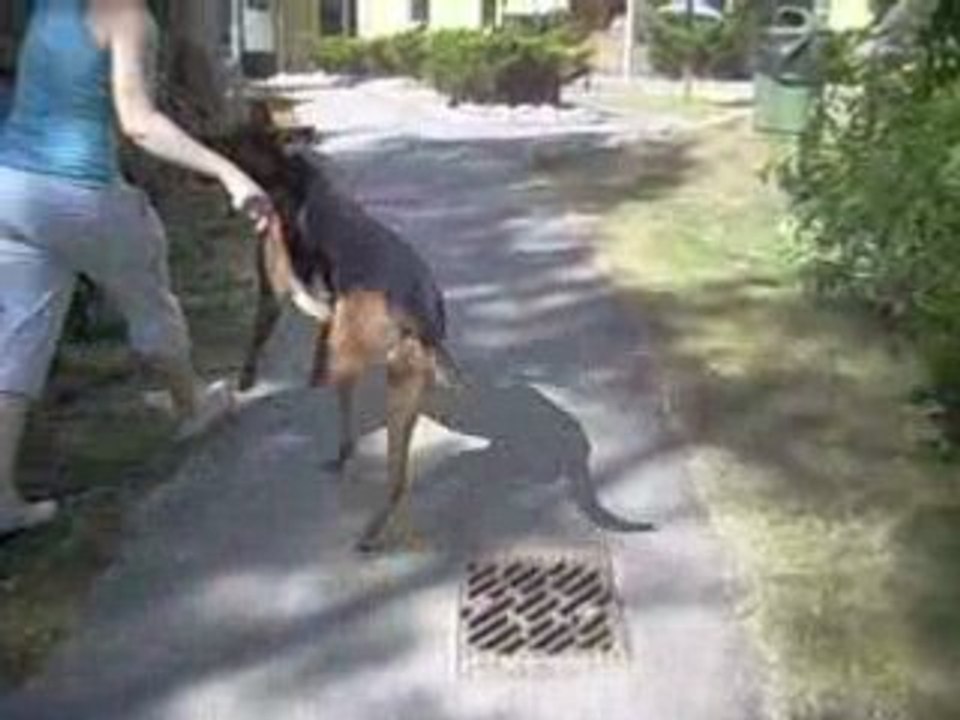 Last walk