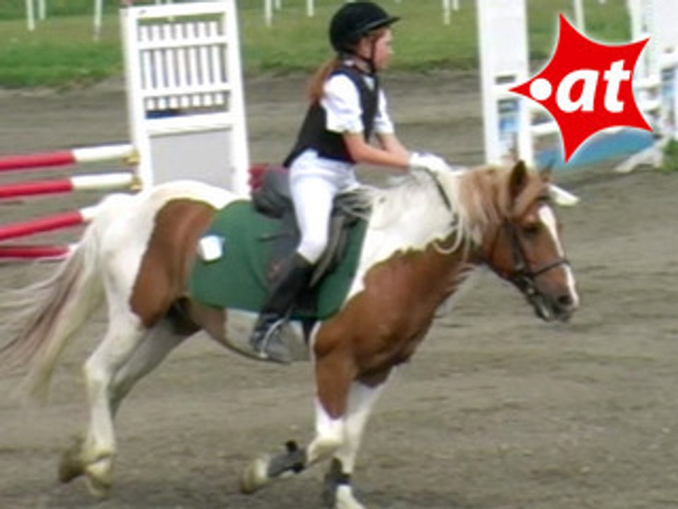 Verena Gosch, Springreiten, Kottingbrunn (2008-035)