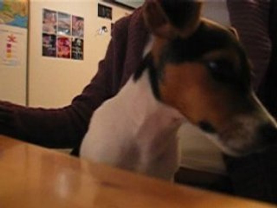Photo 014