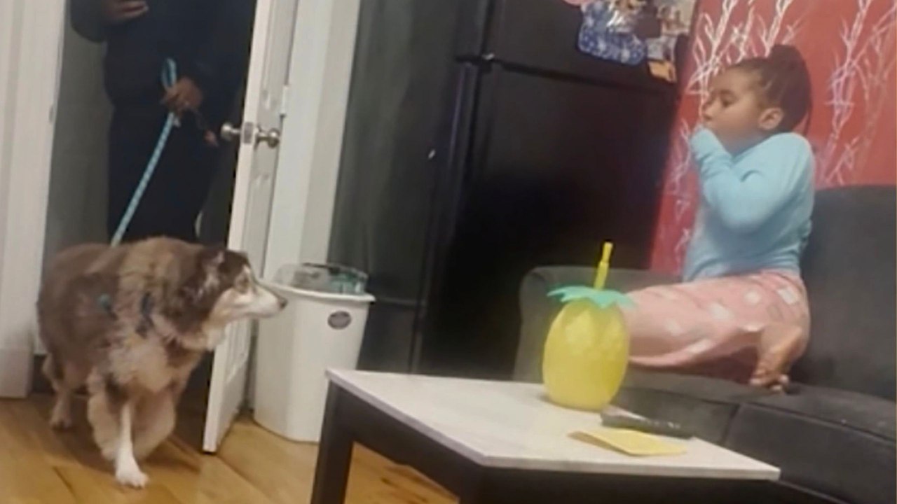 Dad Surprises Daughter By Adopting Late Resident's Dog From Senior Living Job | Happily TV