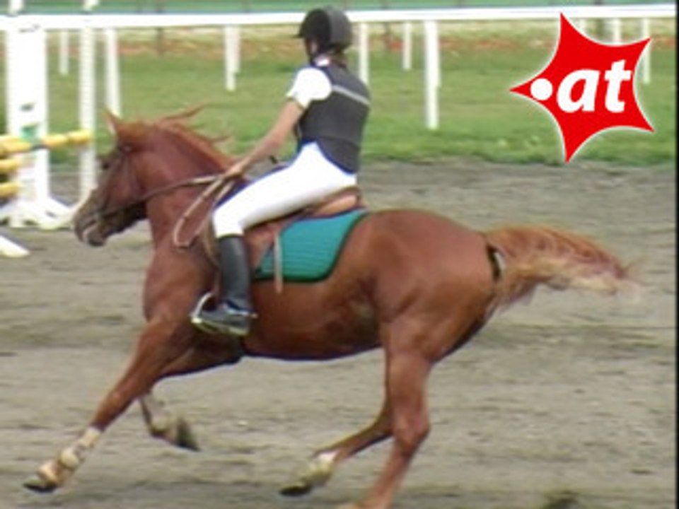 Corina Gallei, Springreiten, Kottingbrunn (2008-037)