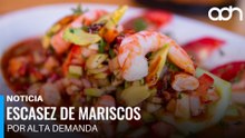 Aumenta consumo de mariscos en CDMX por Cuaresma y ya hay escasez