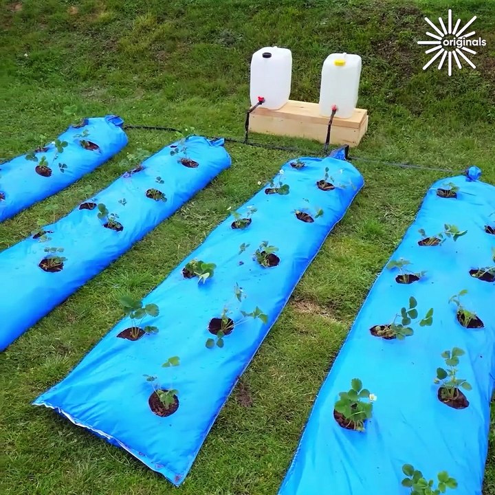 Home improvement with an ASMR twist⚒️🔧