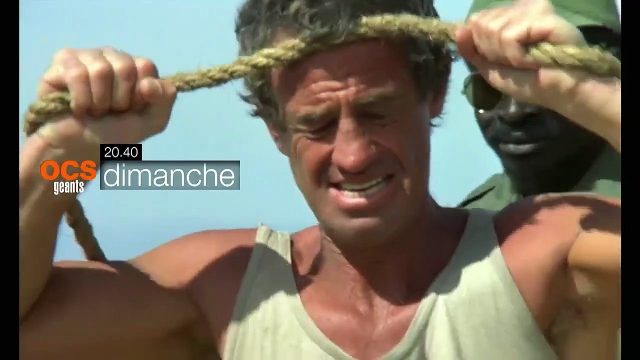 Le professionnel