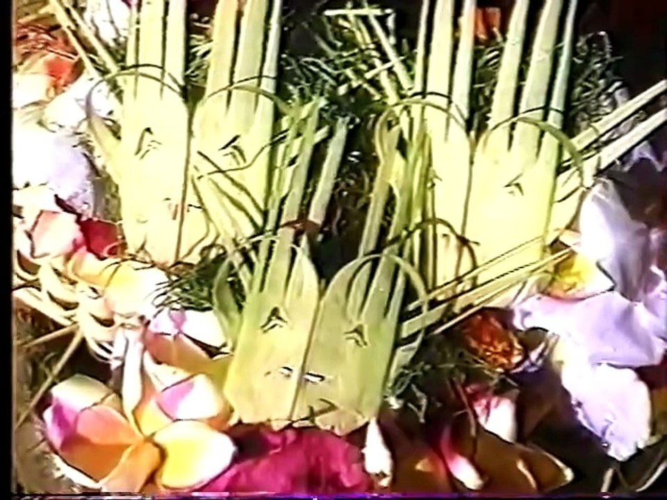 Video Visits - Bali (1990) [VHS]