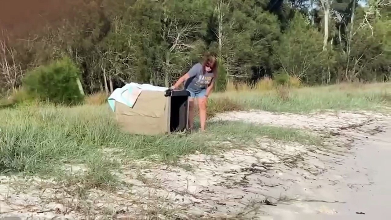 Sea Eagle released after rehabilitation