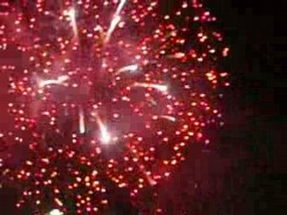 020308 carnaval nice (2)