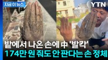 174만 원에 산다고 해도 거부... 마을 전체 발칵 뒤집은 '손 정체' [지금이뉴스] / YTN