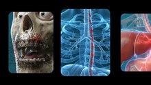 zapiwala ai-AI Skeleton Educational Shorts Viral Formula 🔥 (ChatGPT + Veo 3.1 Full System)