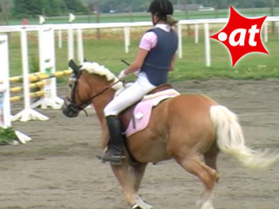 Jennifer Sulzer, Springreiten, Kottingbrunn (2008-039)