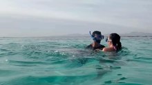 Inquisitive Dolphin Joins Two Divers as If It Belongs