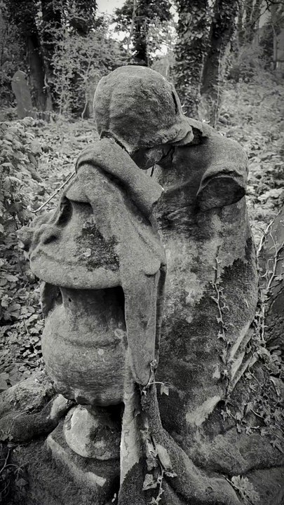 #Darkwave#Goth#PostPunk#GothicMusic#ColdWave#MinimalWave#DarkSynth#GothScene#DarkAlternative#WaveMusic