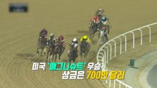 전쟁 중 경마대회 개최? 두바이의 '위험한 도박' [앵커리포트] / YTN