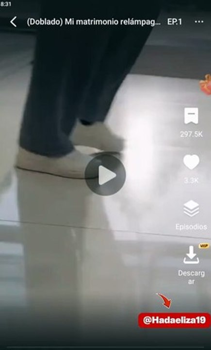 Mi matrimonio relámpago con la CEO