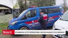 İstanbul'da at eti operasyonu: 306 kilo kaçak et ele geçirildi