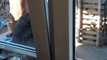 New Boy Is In The Village :) #cat #funnycats #catvideo