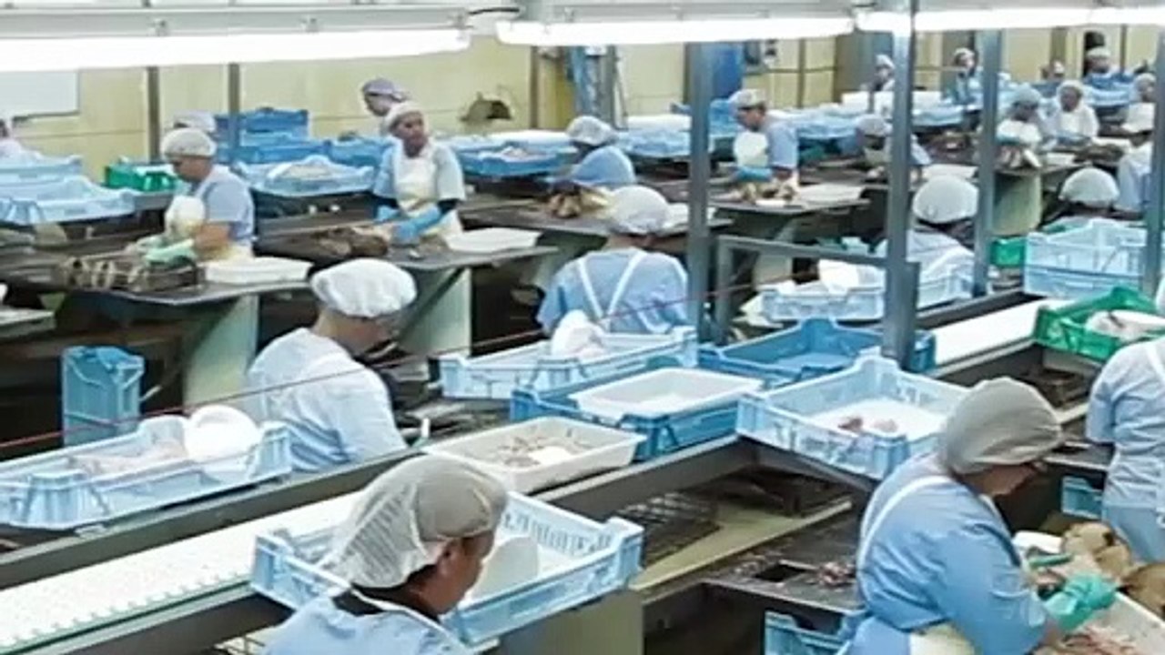 Cuatro de cada diez fábricas de las Marcas de Fabricante están en municipios pequeños