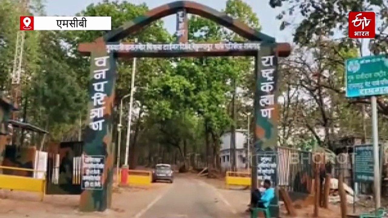 बांस की डंडी के सहारे आता है मोबाइल नेटवर्क, 125 गांवों में समस्या, डिजिटल क्रांति के दावों पर सवाल