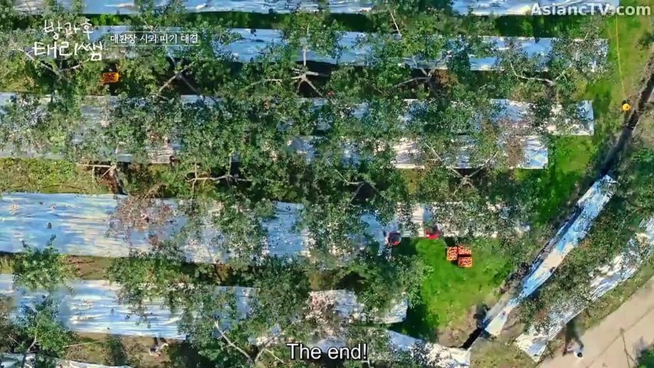 [ENG] EP.5 Curtain Up, Class! (2026)