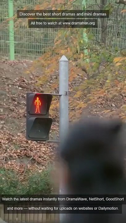 Watch Crash Course in Seduction Chinese Drama