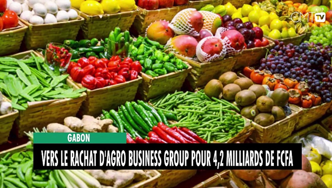 [#Reportage] Gabon : vers le rachat d'Agro Business Group pour 4,2 milliards de FCFA