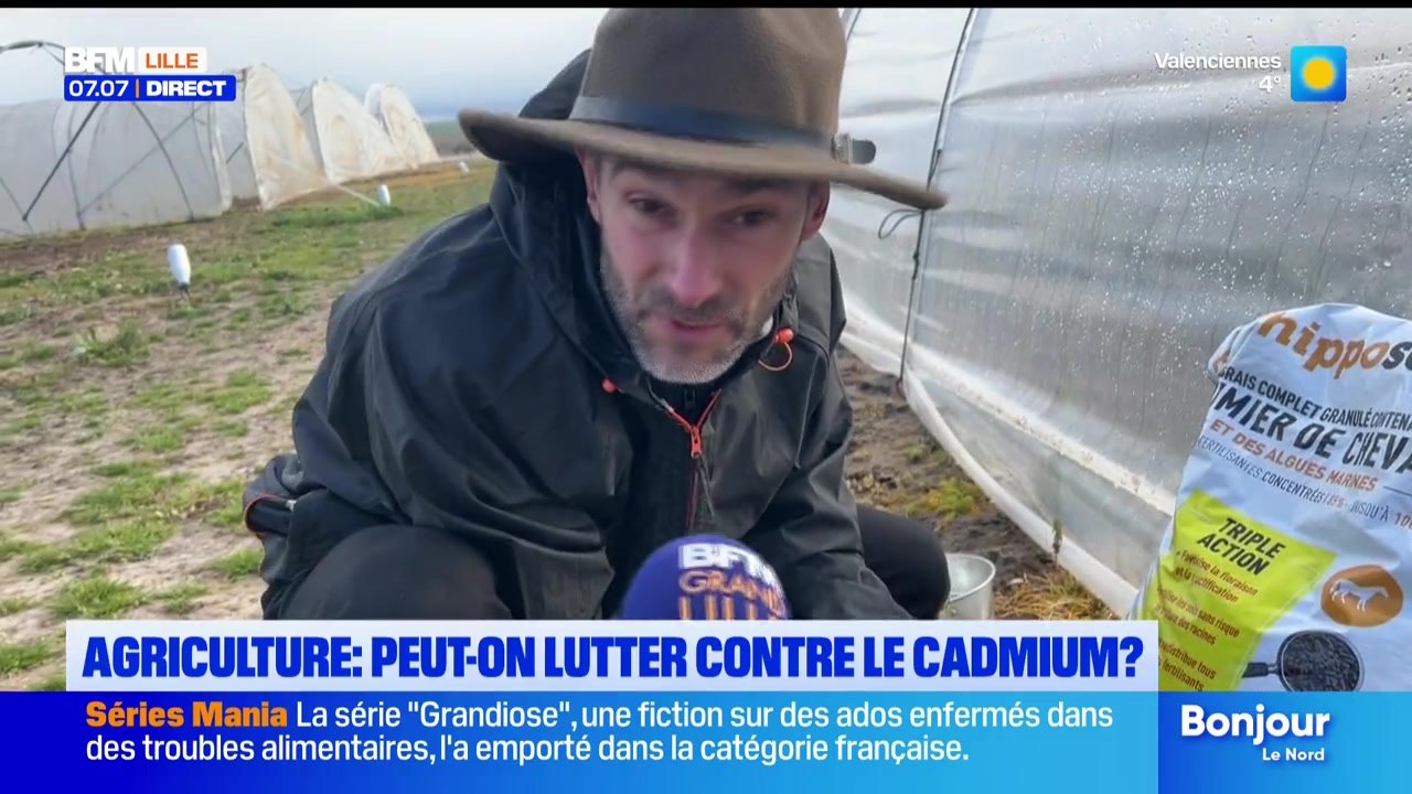 Bonjour Lille du mardi 31 mars 2026