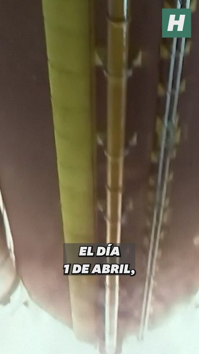 Artemis II, explicada terrenalmente: de por qué no se ha vuelto a la Luna en 50 años a cómo se va a lograr (y con toque español)