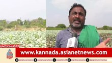 4 ಎಕರೆ ಹೂಕೋಸು ಬೆಳೆಯನ್ನು ನನ್ನ ಕೈಯಾರೆ ನಾಶ ಮಾಡಿದೆ ಸರ್ | Vegetable Market Price Crash | Suvarna News